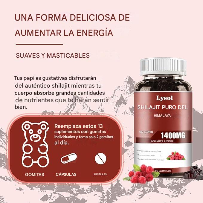 Gomitas de resina de shilajit del Himalaya de alta potencia : Energizantes y refuerzo inmunológico. 30 Gomitas