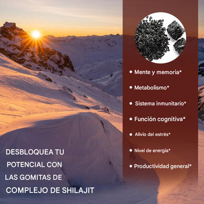 Gomitas de resina de shilajit del Himalaya de alta potencia : Energizantes y refuerzo inmunológico. 30 Gomitas
